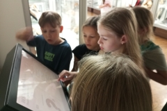 8-foto-2